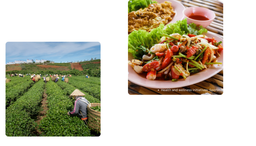 migraine aur headache 